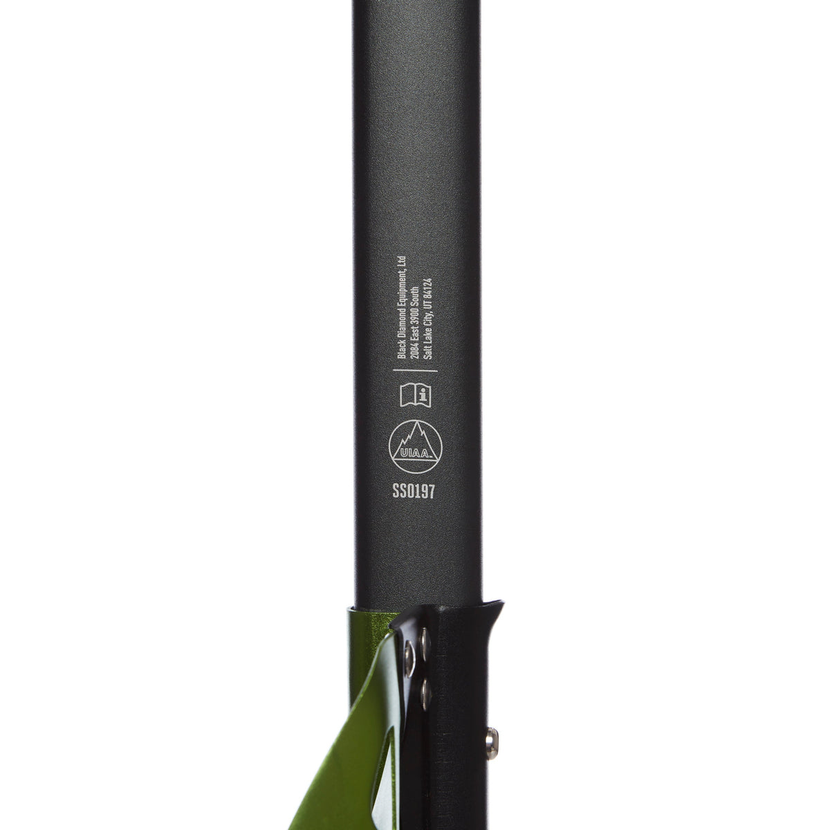 Envy Green