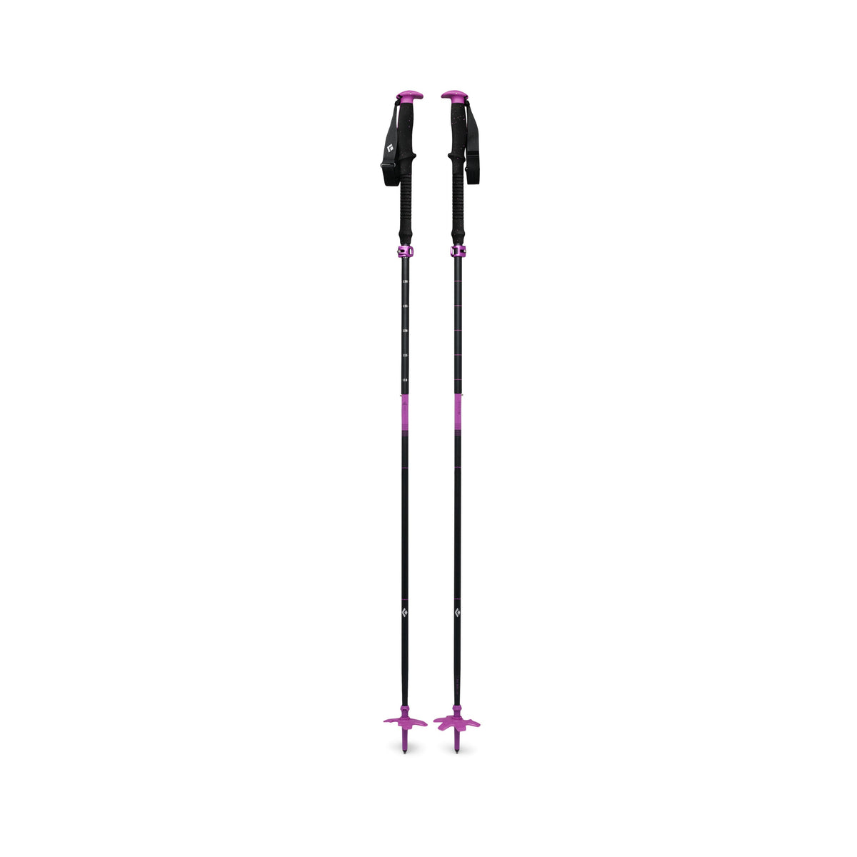 Piton Purple 