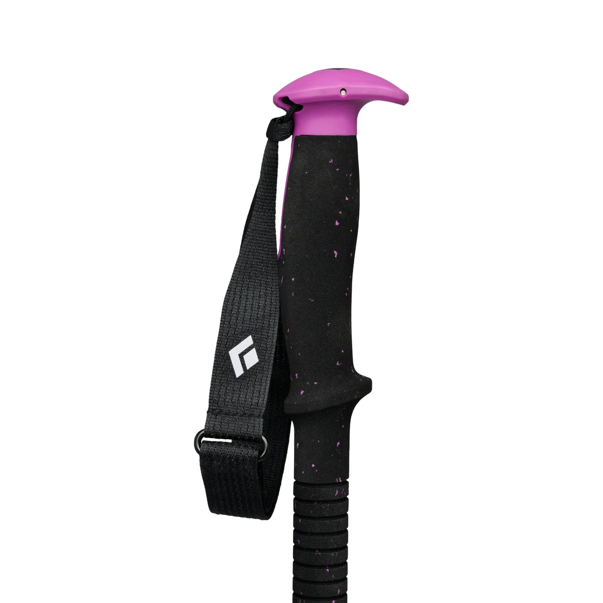 Piton Purple 