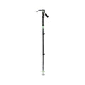 Expedition 3 Whippet