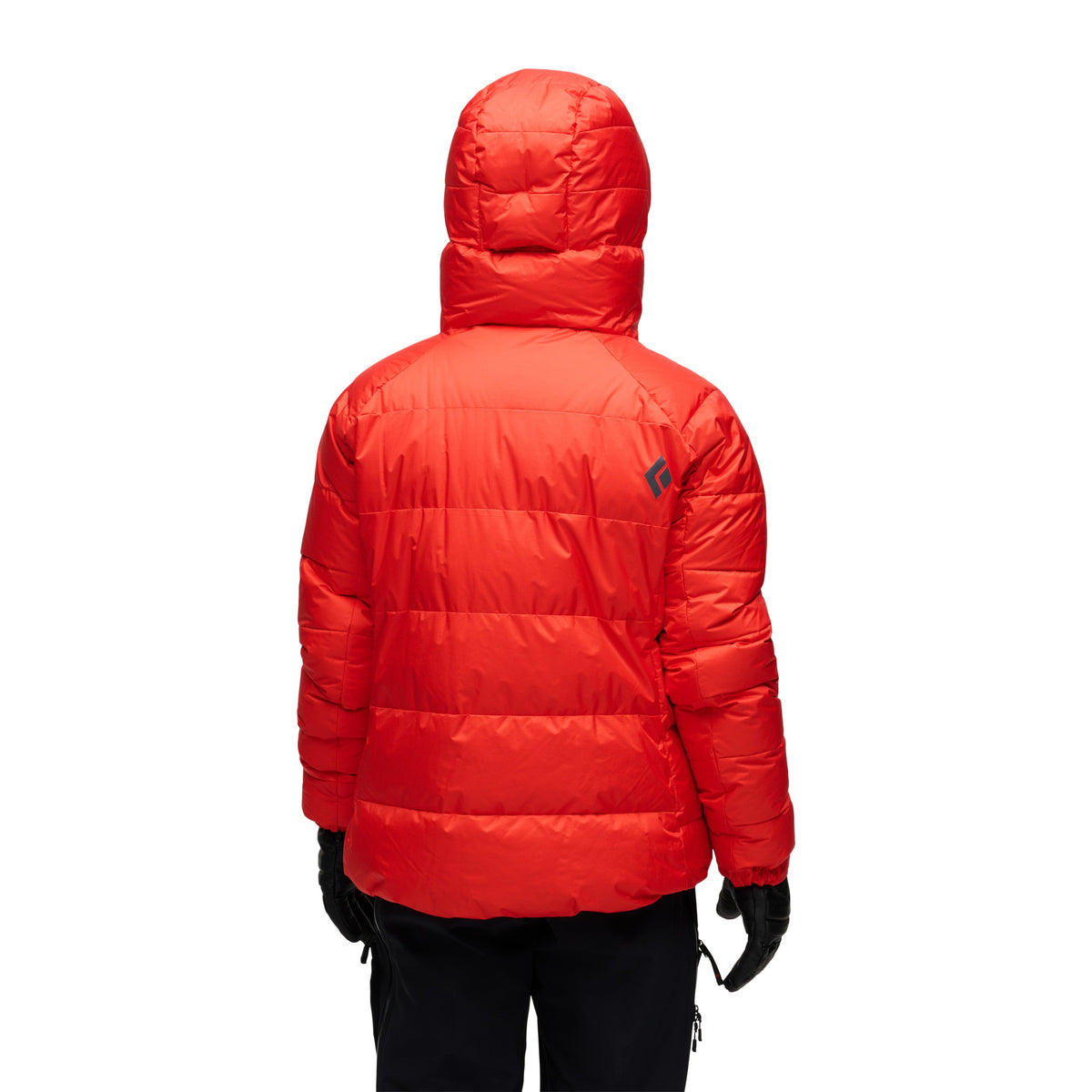 Octane ~ Model is 5' 8" | Chest 34" | Waist 28" | Size Small/6 