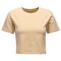 Women's BD Stripe Crop Short Sleeve Tee